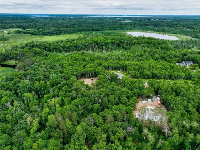 L8B2 Sanctuary Ln, Brainerd, MN 56401