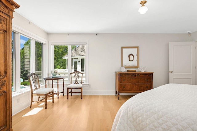 2255 French Creek Cir, Orono, MN 55391 - bedroom featuring light wood-style floors and access to exterior