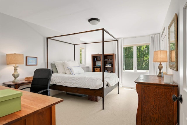 2255 French Creek Cir, Orono, MN 55391 - view of carpeted bedroom