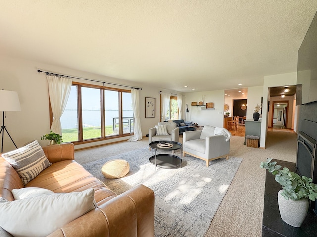 38498 N Shore Dr, Battle Lake, MN 56515 - photo 6