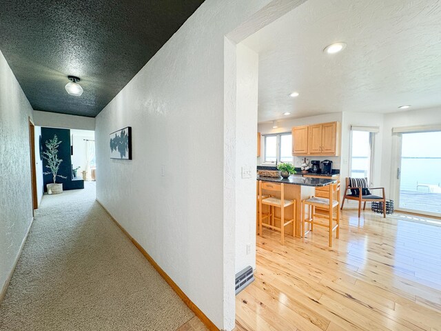38498 N Shore Dr, Battle Lake, MN 56515 - photo 17