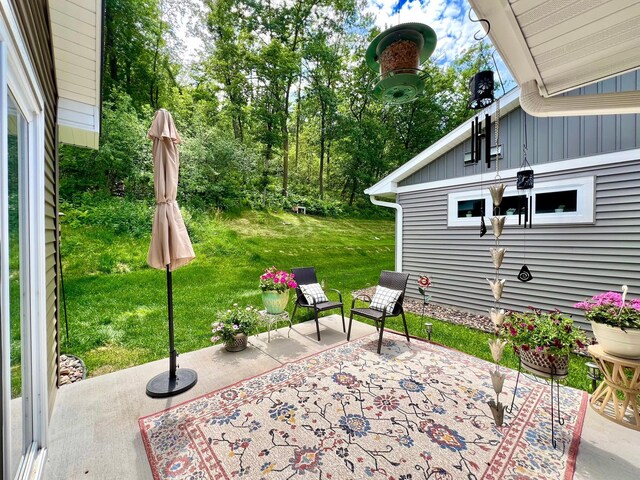 1180 Hewitt Blvd, Red Wing, MN 55066 - view of patio