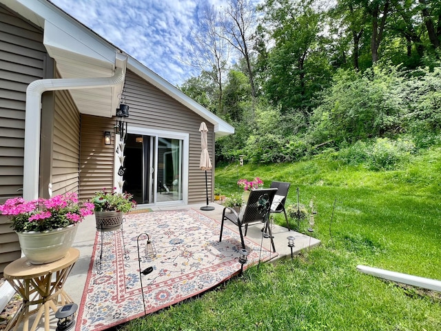 1180 Hewitt Blvd, Red Wing, MN 55066 - view of patio