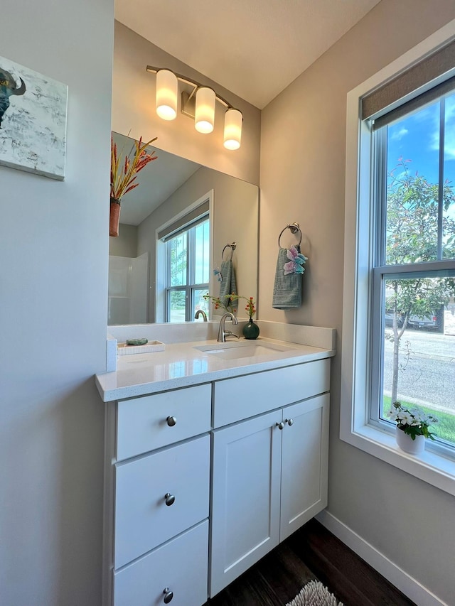 1180 Hewitt Blvd, Red Wing, MN 55066 - bathroom with vanity and wood finished floors