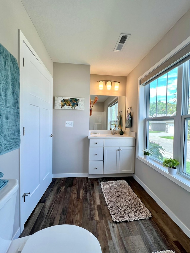 1180 Hewitt Blvd, Red Wing, MN 55066 - bathroom with vanity and wood finished floors