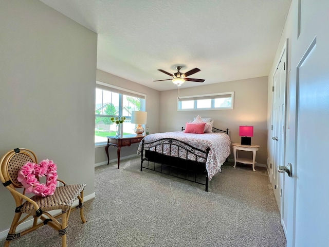 1180 Hewitt Blvd, Red Wing, MN 55066 - bedroom with carpet flooring and ceiling fan