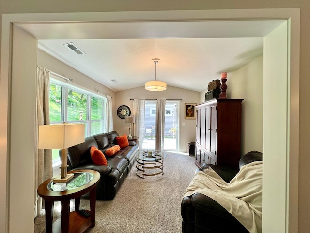 1180 Hewitt Blvd, Red Wing, MN 55066 - living area featuring carpet floors and lofted ceiling