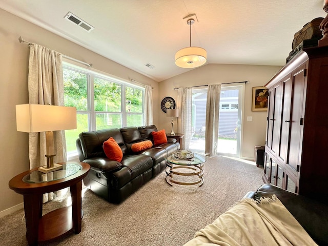1180 Hewitt Blvd, Red Wing, MN 55066 - living room with carpet floors and lofted ceiling