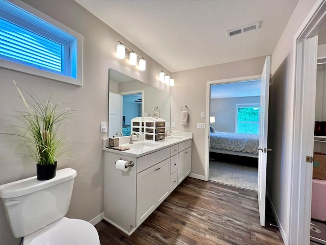 1180 Hewitt Blvd, Red Wing, MN 55066 - ensuite bathroom with double vanity, wood finished floors, plenty of natural light, and a textured ceiling