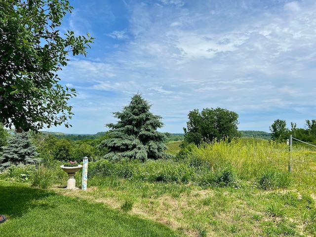 1180 Hewitt Blvd, Red Wing, MN 55066 - view of yard