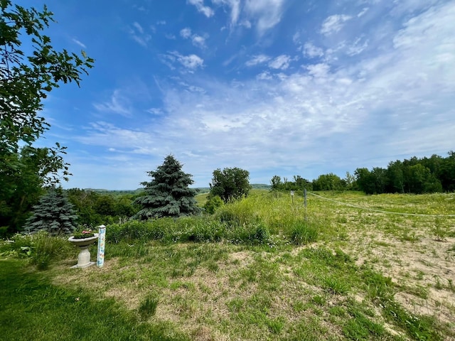 1180 Hewitt Blvd, Red Wing, MN 55066 - view of yard with a view of countryside