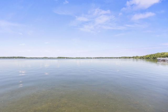 70190 218th St, Dassel, MN 55325 - water view
