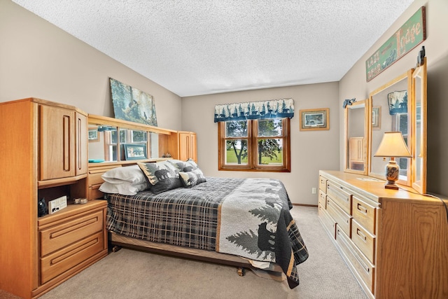 70190 218th St, Dassel, MN 55325 - bedroom featuring light colored carpet and a textured ceiling