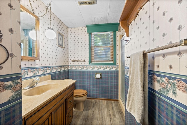 70190 218th St, Dassel, MN 55325 - bathroom with wallpapered walls, wood finished floors, vanity, and wainscoting