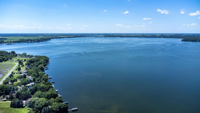 70190 218th St, Dassel, MN 55325 - bird's eye view of a large body of water
