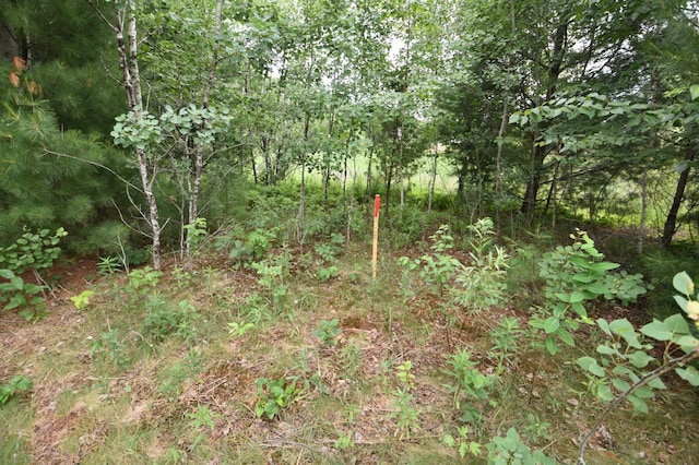 580 Woodduck Trl, Lino Lakes, MN 55014