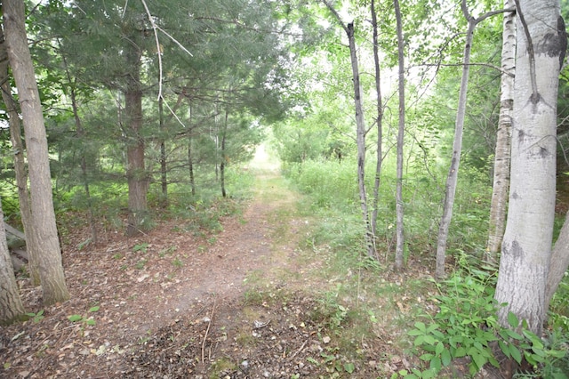 580 Woodduck Trl, Lino Lakes, MN 55014