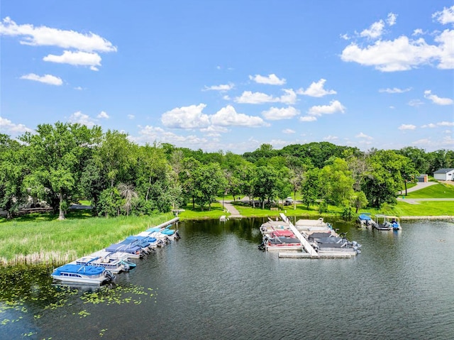 4775 126th Street Ct N, Hugo, MN 55110 - water view featuring a tree filled landscape and a boat dock