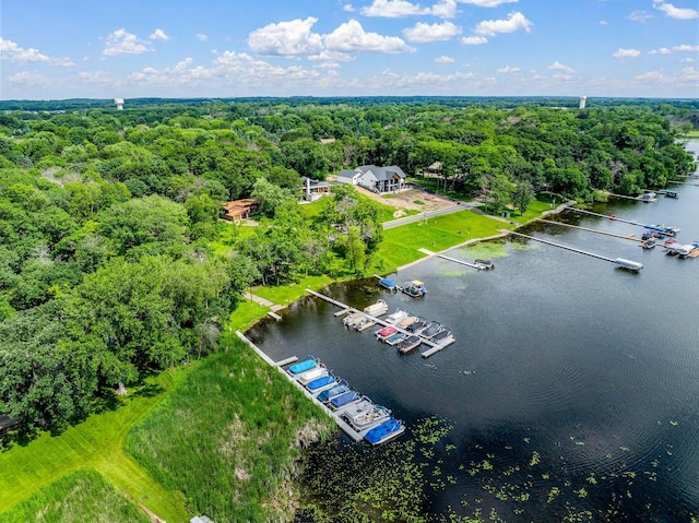 4775 126th Street Ct N, Hugo, MN 55110 - drone / aerial view of a nearby body of water and a heavily wooded area
