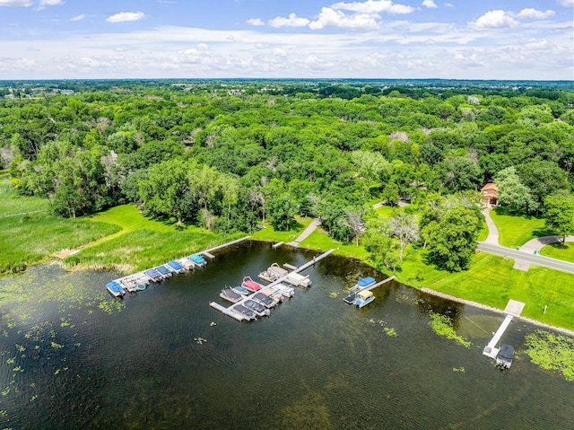 4775 126th Street Ct N, White Bear Lake, MN 55110 - photo 5
