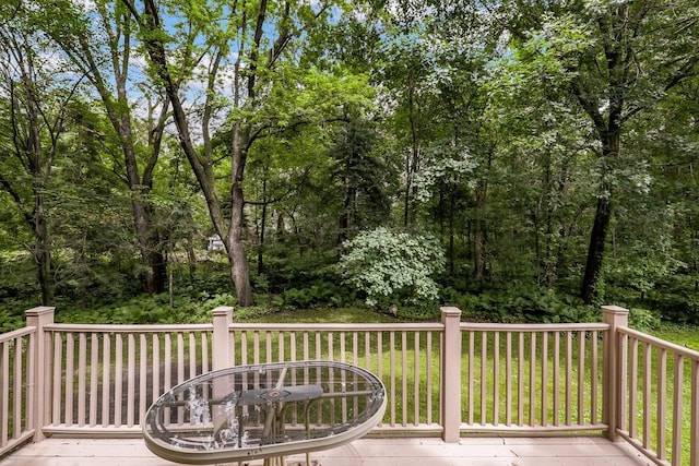 4775 126th Street Ct N, White Bear Lake, MN 55110 - photo 12