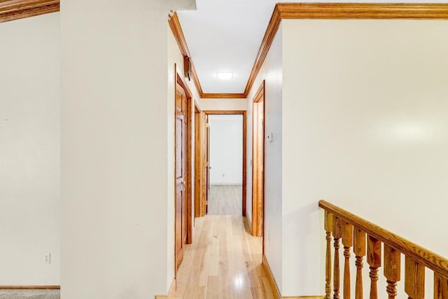 4775 126th Street Ct N, White Bear Lake, MN 55110 - photo 29
