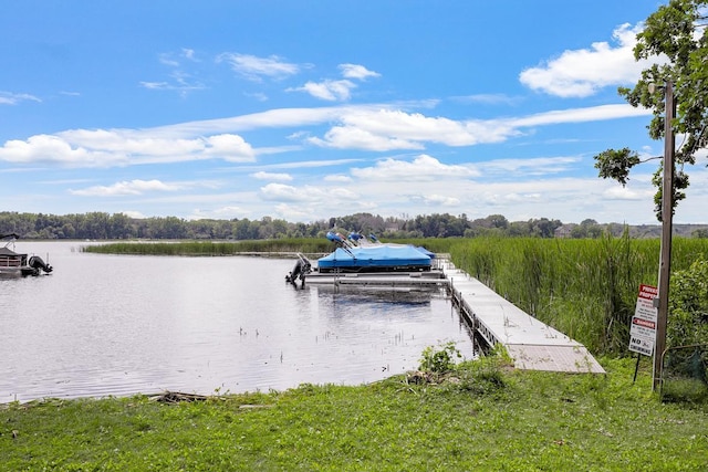 4775 126th Street Ct N, White Bear Lake, MN 55110 - photo 50