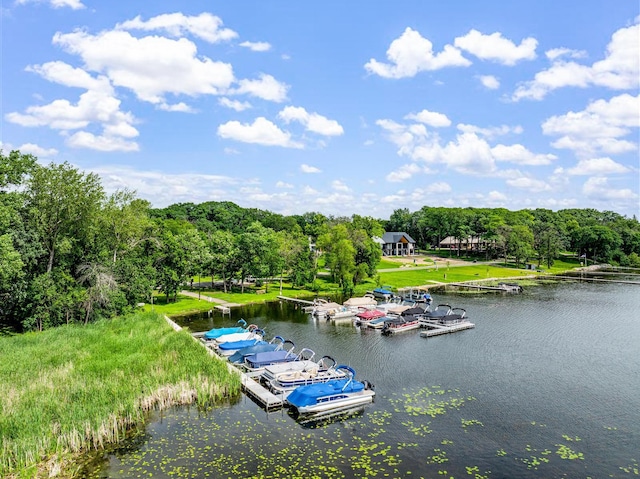 4775 126th Street Ct N, White Bear Lake, MN 55110 - photo 51
