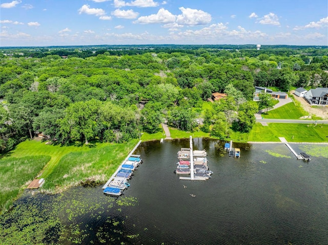 4775 126th Street Ct N, White Bear Lake, MN 55110 - photo 54