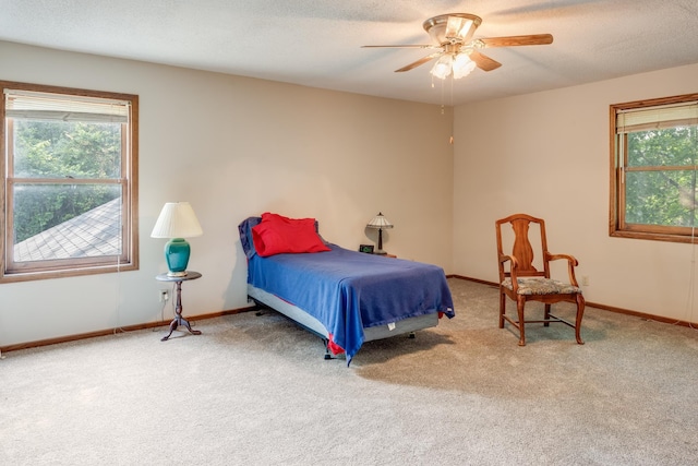 11581 Noon Dr, Dayton, MN 55327 - photo 27