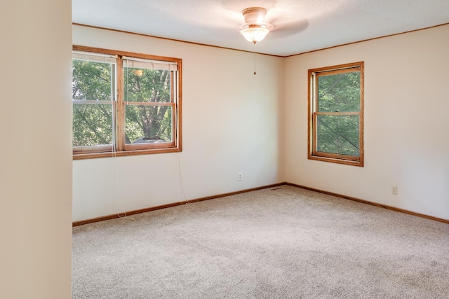 11581 Noon Dr, Dayton, MN 55327 - photo 33