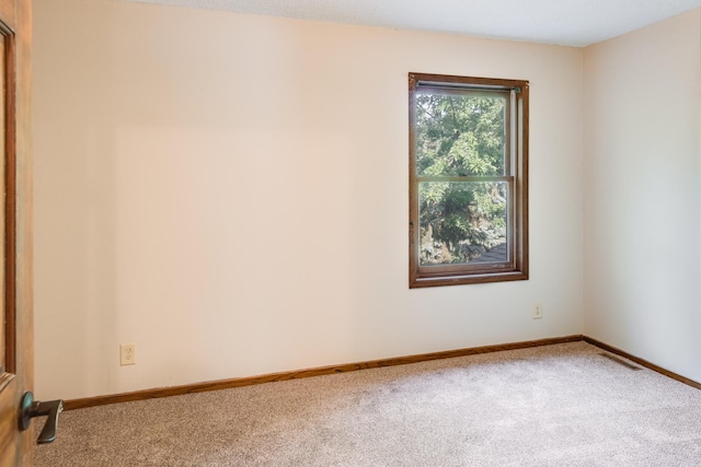 11581 Noon Dr, Dayton, MN 55327 - photo 34