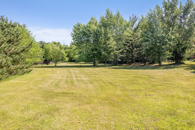 11581 Noon Dr, Dayton, MN 55327 - photo 42