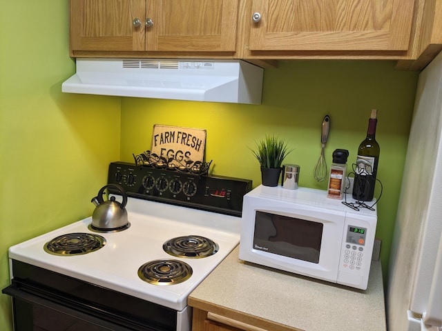 2800 Hillsboro Ave N Unit 113, New Hope, MN 55427 - kitchen featuring electric stove, white microwave, ventilation hood, and light countertops