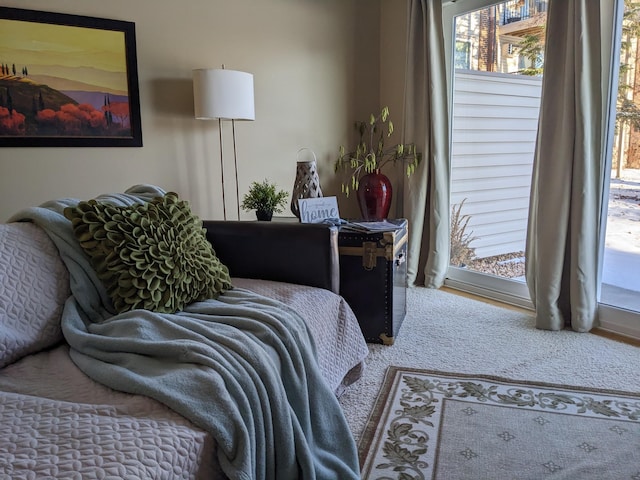 2800 Hillsboro Ave N Unit 113, New Hope, MN 55427 - bedroom featuring access to outside and carpet