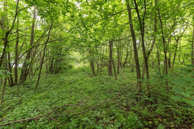 TBD W Point Trl, Amor Twp, MN 56576