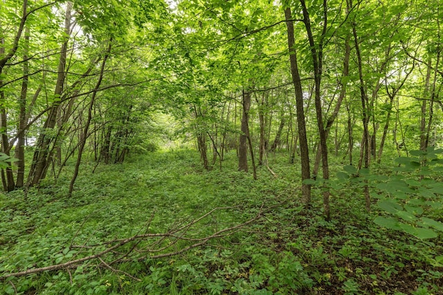 TBD W Point Trl, Amor Twp, MN 56576