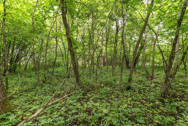 TBD W Point Trl, Amor Twp, MN 56576