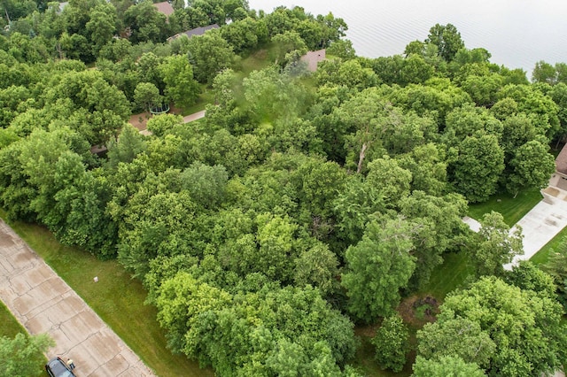 TBD W Point Trl, Amor Twp, MN 56576