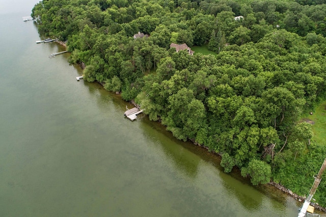TBD W Point Trl, Amor Twp, MN 56576