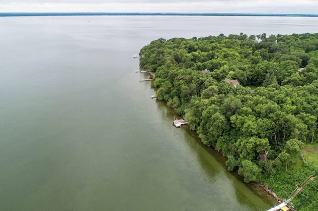 TBD W Point Trl, Amor Twp, MN 56576