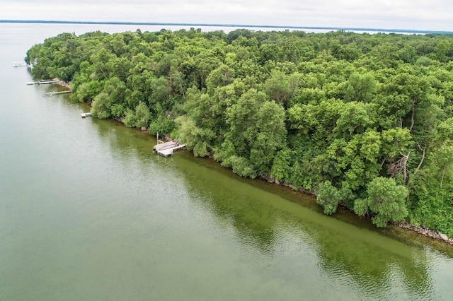 TBD W Point Trl, Amor Twp, MN 56576