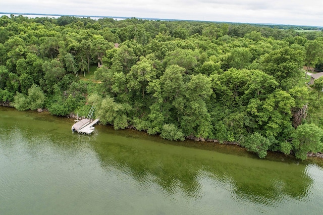 TBD W Point Trl, Amor Twp, MN 56576