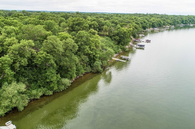 TBD W Point Trl, Amor Twp, MN 56576