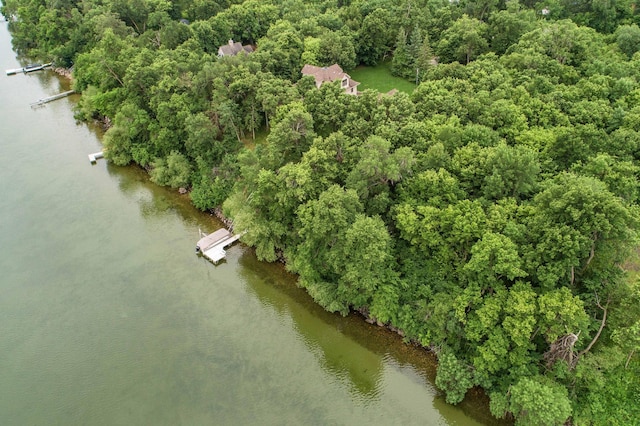 TBD W Point Trl, Amor Twp, MN 56576
