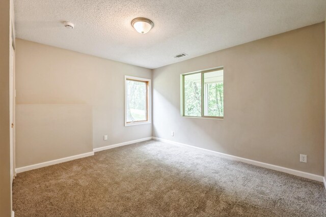1445 Eastlake Dr, Chaska, MN 55318 - photo 11