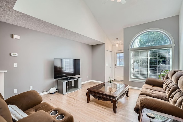 960 106th Ln NW Unit 22, Coon Rapids, MN 55433 - living area featuring light wood-type flooring and high vaulted ceiling