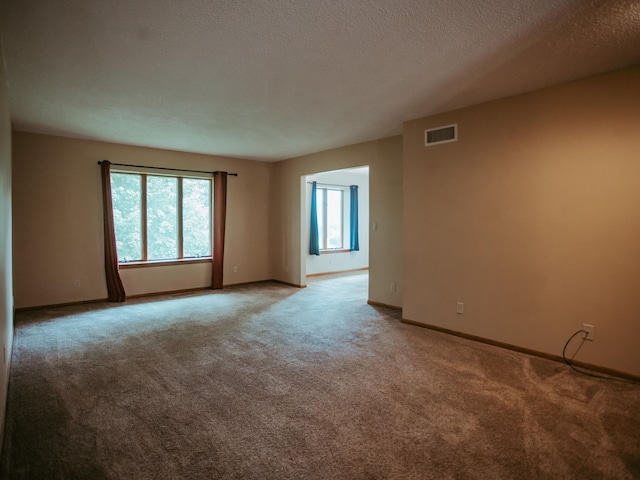 610 25th St SW, Austin, MN 55912 - empty room featuring light carpet, plenty of natural light, and a textured ceiling