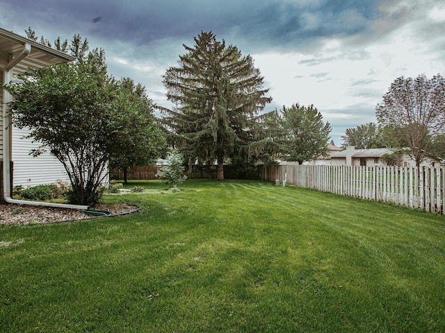 610 25th St SW, Austin, MN 55912 - view of yard