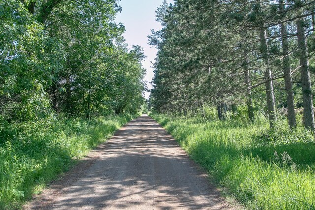16517 200th St, Milaca, MN 56353 - photo 13